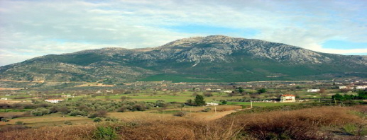 Uzumlu